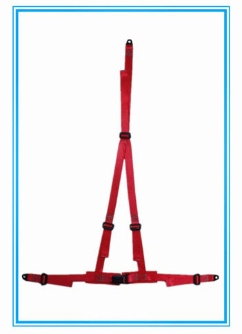 Special vehicle seat belts