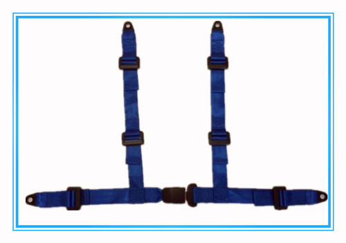 Special vehicle seat belts